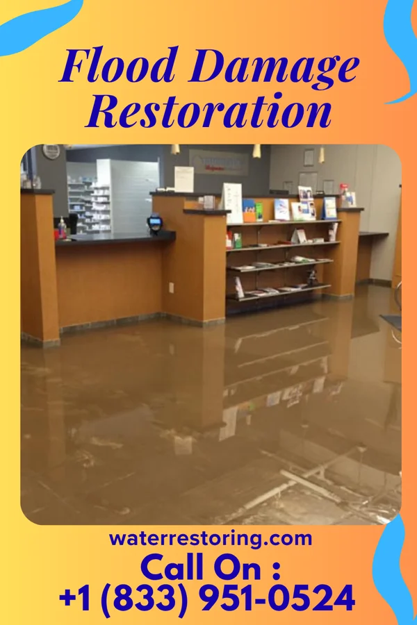 Flood Damage Restoration in Morrison Bluff, AR